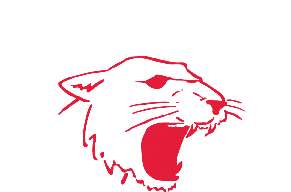 Avonvale Utd Football Club